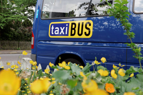 taxibus, Apeldoorn